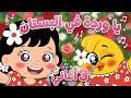 يا وردة في البستان وتوت توت يا كتكوت واحلى اغاني هالصيصان   كتاكيت بيبي      نجومي