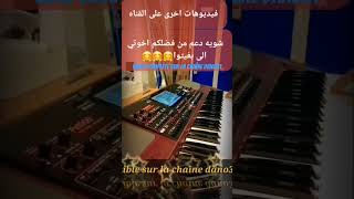 Cheb Amine31, Extrait Live Jebt Elhouwass Rassi لراسي جبت الهواس