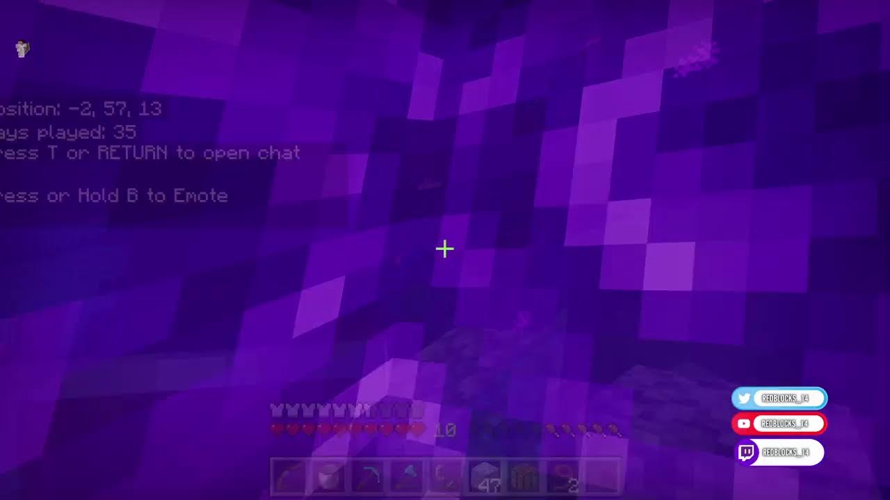 PLAYING 2 WEEK MINECRAFT PHASE DAY 3