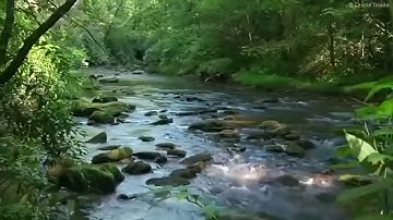ماتيسر من سورة البقرة - تلاوات نادرة - الشيخ محمود محمد رمضان