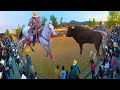 ¡JARIPEO DE TOROS BRAVOS BUSCA CABALLOS!! MORELIA MICHOACAN COL. EMILIANO ZAPATA 28 DE ABRIL 2024