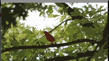 How to Export Your Illustrator File as a JPEG