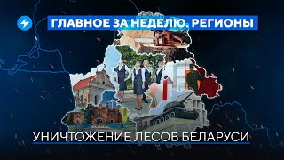 Незаконная вырубка леса / Арест россиян в Беларуси / Лукашенко подарили авто // Новости регионов