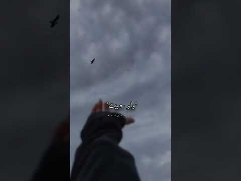 وكان مفروض محبكشي احلا سوند هادي تسمعو