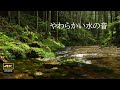 4K映像 + 自然環境音 森の中をやさしく流れる水の音でリラックス 鳥のさえずり