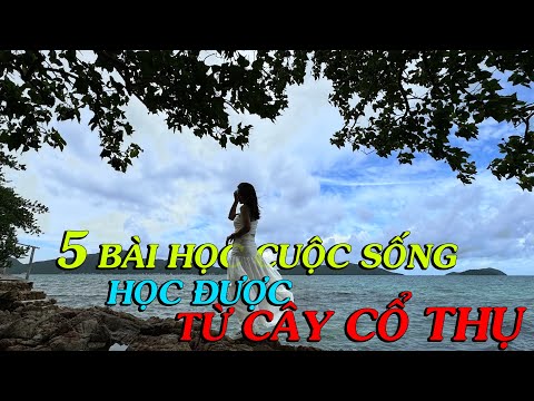 Giá trị của