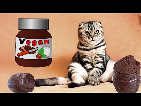 Video: Nutella Tuis: Stapsgewyse Resepte Vir Sjokoladesmeer Met En Sonder Neute, Foto En Video