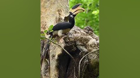 واسأل القرية التي كنا فيها....   سورة  يوسف