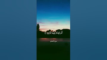 والضحى والليل إذا سجى || سورة الضحى بصوت الشيخ علي جابر