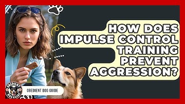 How Does Impulse Control Training Prevent Aggression? | Obedient Dog Guide