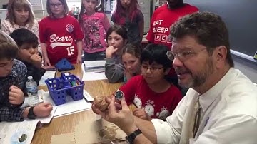 Rick Crosslin Science - Nervous and Other Body Systems Gr. 5 Mr. Scanlon McClelland