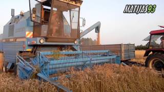 Żniwa 2013 - Kliny Bizon Rekord Zo58 Rekord & Zetor 5340
