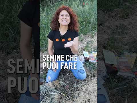 Cosa seminare quando fa CALDO. Orto a giugno