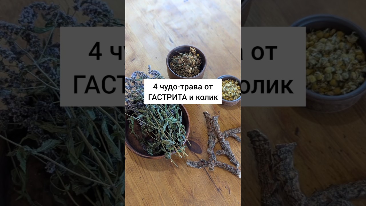 4 чудо-трава при гастрите и боли в животе#травы #лекарственныерастения #травник #дикоросы