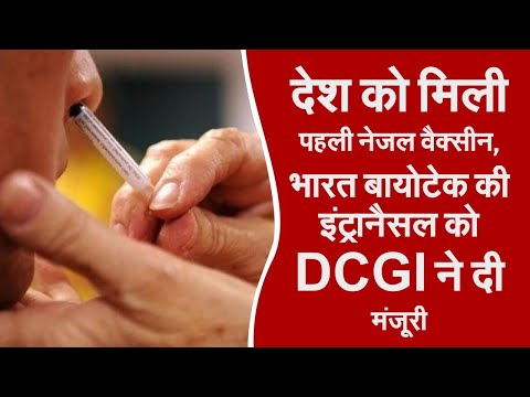 देश को मिली पहली नेजल वैक्सीन, भारत बायोटेक की इंट्रानैसल को DCGI ने दी मंजूरी