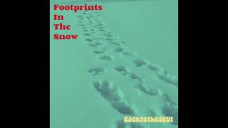 Video thumbnail of "Backtothesoul - Footprints in The Snow"