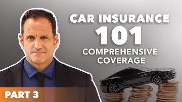 Florida Car Insurance 101: Comprehensive Coverage.