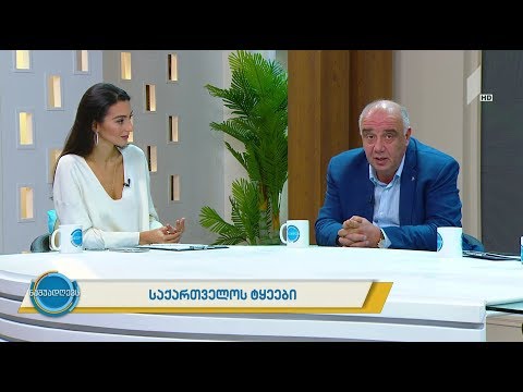 #ნაშუადღევს მეტყევის დღე - ტყე შევუნახოთ ქვეყანას