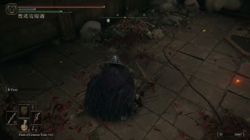 How to parry with dual dagger | Elden Ring | Xbox S series