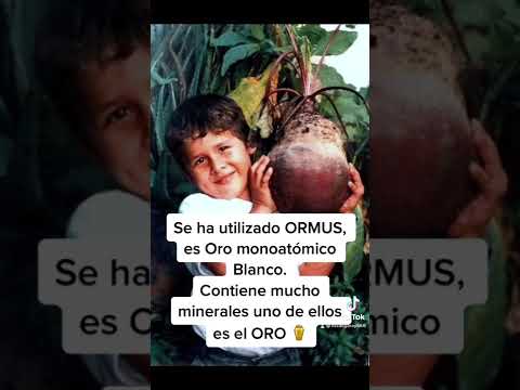 El gran secreto de las verduras gigantes #suscribete La teoría del bar gigante en Santiago: secretos revelados