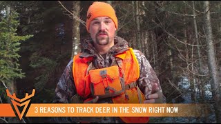 3 Reasons to Track Deer in the Snow RIGHT NOW | Whitetail How To | Wired to Hunt