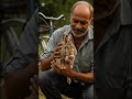 “Where Fear Met Kindness”#wildliferescue#animalrescue#emotionalstory#cinematicstory#motherlove#short