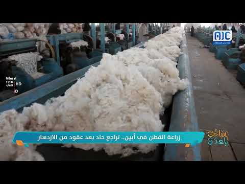 تراجع زراعة القطن في أبين بعد عقود من الازدهار