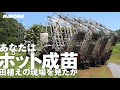 みのる産業のポット成苗田植機で100町以上、2万5000枚以上を田植えする鳥取田中農場
