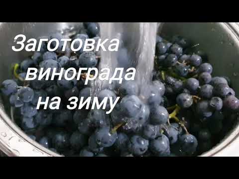 Как заморозить виноград. Правила заморозки винограда. Легко, Быстро,Просто, Практично. Заморозка