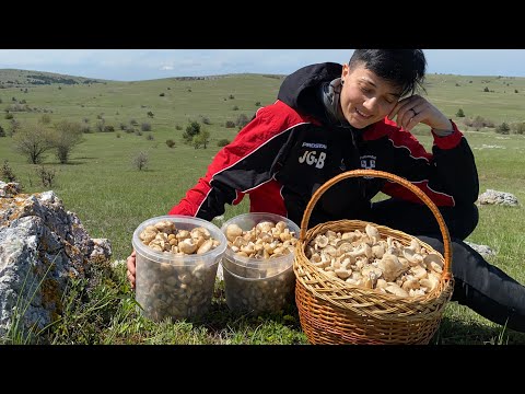 ПОМОГИТЕ УНЕСТИ ВСЕ ГРИБЫ! Рядовка майская не дает уехать
