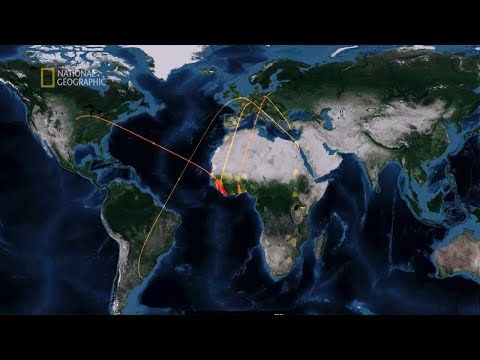 Wideo: Wykryto Nowego Wirusa, Który Może Spowodować Epidemię - Alternatywny Widok