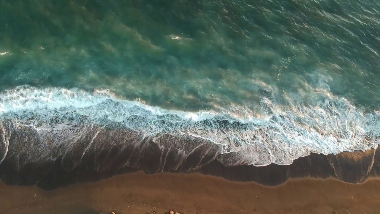 Suoni naturali: onde del mare gabbiani. Rilassante suono del mare con ...