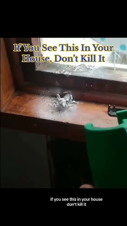 hell nah to the no no - YouTube - Hell To The No To The No No No