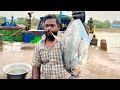 Diamond trevally fish cutting   uk sons marine