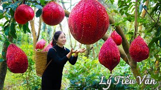 2 Years Alone in the Forest: Harvest Red Fig & Go to market sell | Daily Life in Forest