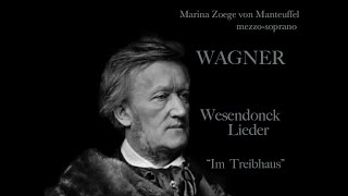 Wagner: Wesendonck-Lieder №3 