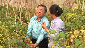 Đẩy mạnh kinh tế tập thể nòng cốt là các Hợp tác xã