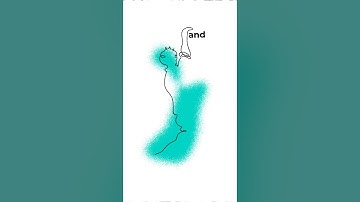 finally got around to wrapping up 2024! 🎬✨