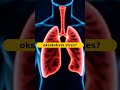 Kako divlja žalfija štiti vaša pluća Naučno objašnjenje respiratorne zaštite #zanimljivostinet