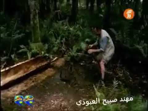 احمد الغريب امراض الناس تداوه ونامس