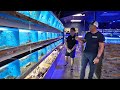 Inside a 10000 sqft fish store with exotic fish and reptiles