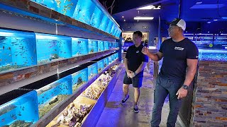 Inside a 10,000 sq-ft Fish Store with Exotic Fish and Reptiles