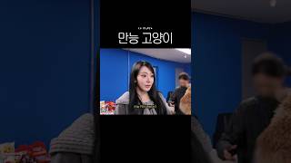 👥:아기 천사 고양이가 누구야? 🌸: 저요