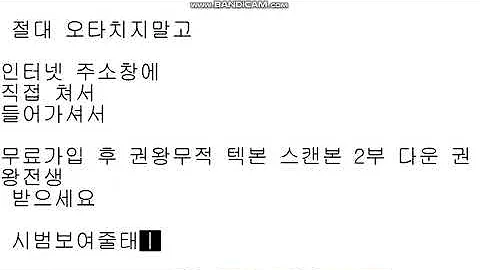 권왕무적
