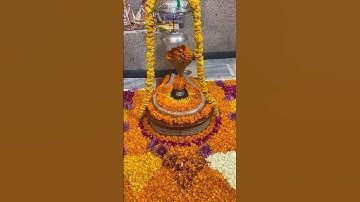 !!जय शिव शंकर जय गंगाधर!!Jai Shiv Shankar Jai Gangadhar🕉️#shortsfeed#shorts#mahadev