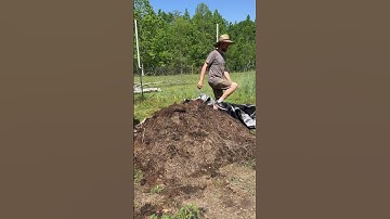 FAST Compost - Day 4!