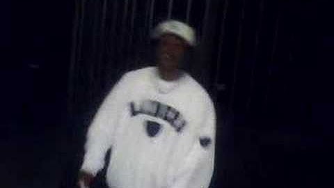 FREE DPG MAC LUCCI 2008