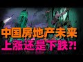 【向松祚重磅】上海楼市新政出台!中国房地产未来会如何发展?房价还能涨吗?普通人该不该买房?真相揭开,普通人要小心了!非常值得一听!