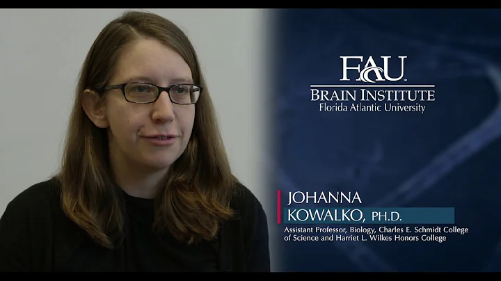 FAU Faculty Vignette - Johanna Kowalko, Ph.D.
