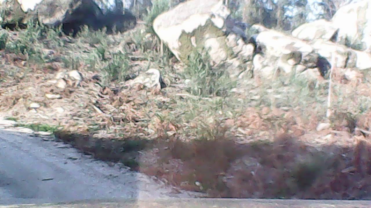 rutita discoveri algo de barro 1 - YouTube
